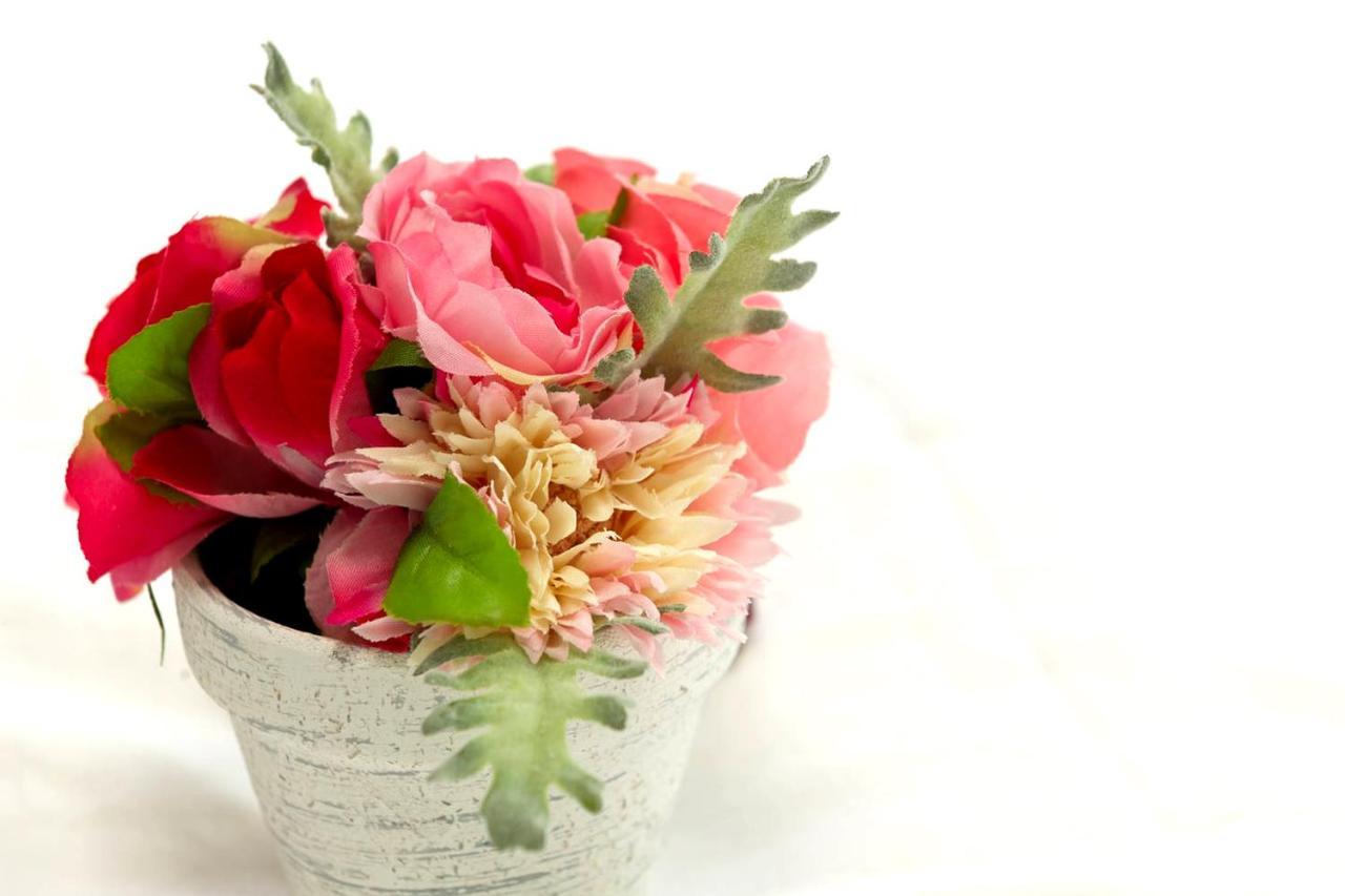 Cherry Blooming Tokyo- All Suite Boutique Hotel 东京伊樱里-中央区全套房艺术酒店 المظهر الخارجي الصورة